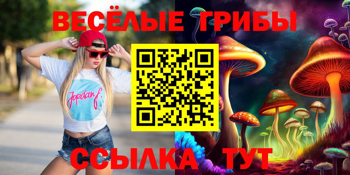 Галлюциногенные грибы прущие грибы Шелехов