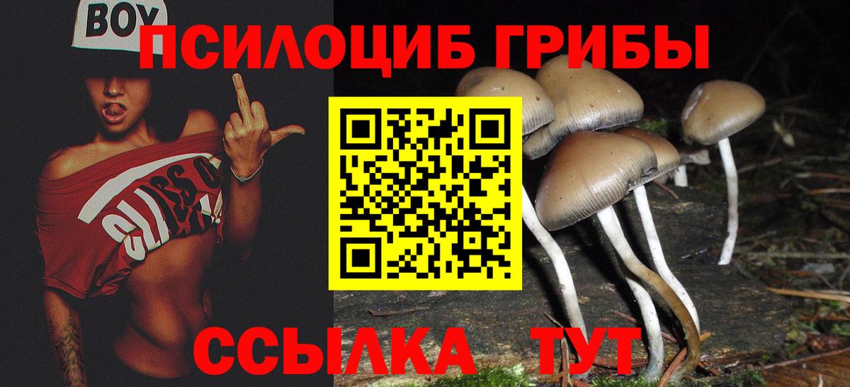 Галлюциногенные грибы прущие грибы  Псилоцибиновые грибы мицелий  Шелехов  Вход с VPN 